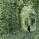 10 Places That Look Imaginary, But Are Actually Real