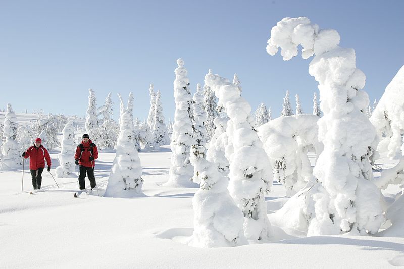 Lapland, Finland 