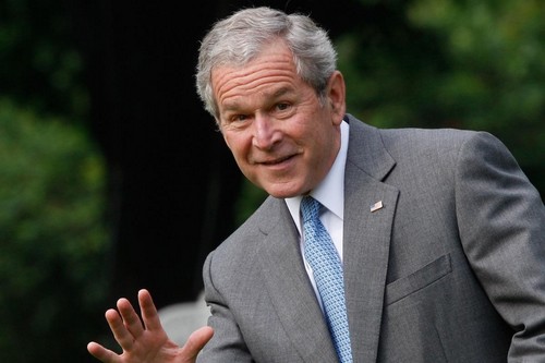 Bush