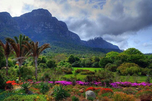 Kirstenbosch, Cape Town, South Africa
