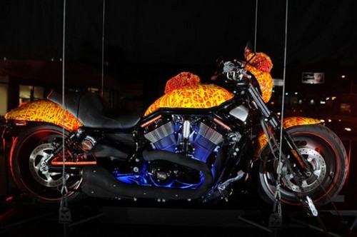 10 Most Expensive Bikes