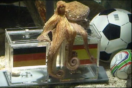 Paul, the Octopus