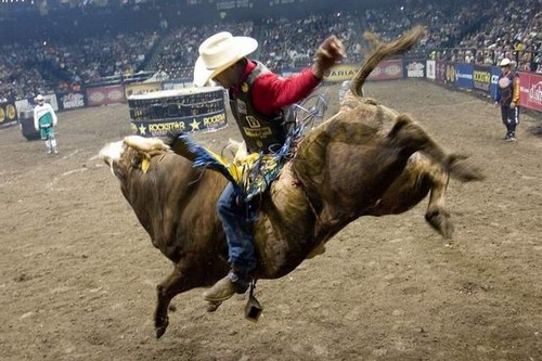 Bull riding full of thrills