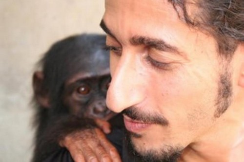10 Most Shocking Animal Attacks