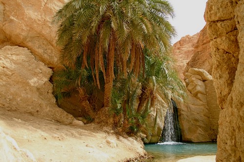 Chebika Oasis, Tunisia