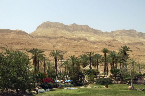 Ein Gedi, Israel