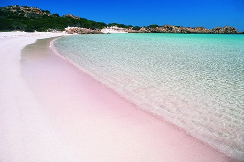 Pink Beach in Budelli