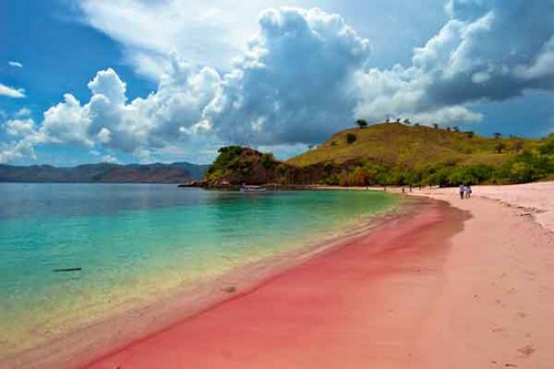 Hasil gambar untuk Pink Beach