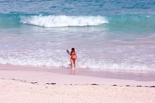 Pink Beaches of Harbor Island