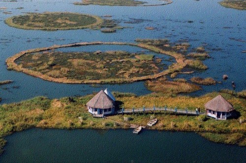 Floating Islands in Loktak Lake