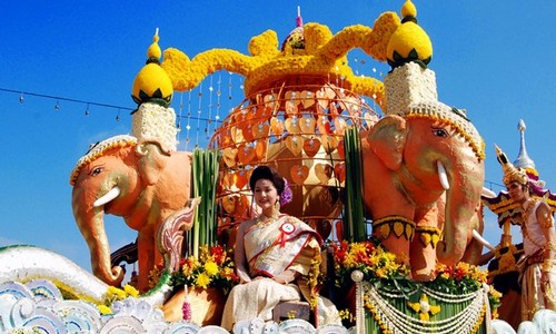 Chiang Mai Flower Festivals