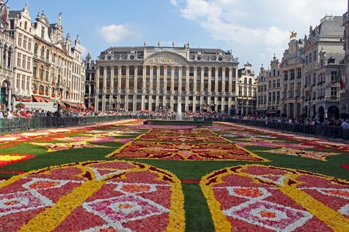 Flower Carpet, Brussels, Belgium