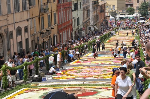 Genzano Infiorata Flower Festivals