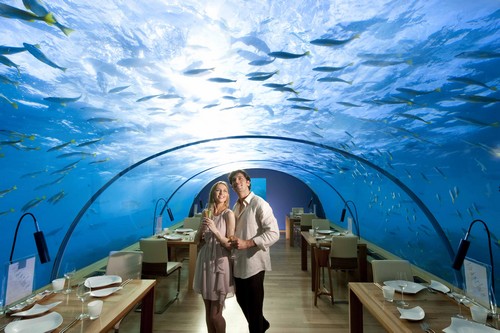 Most Luxurious Restaurants Most Luxurious Restaurants