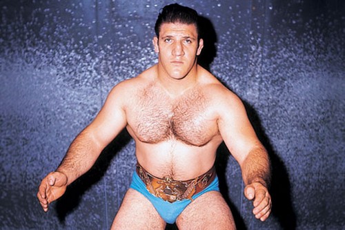 Bruno Sammartino Greatest Wrestlers