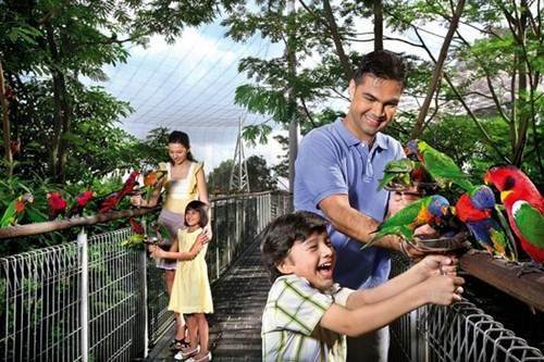 attractions in Singapore