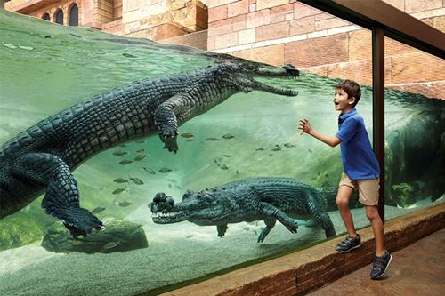 places to visit in Singapore
