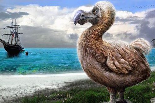 Extinct Animal Species