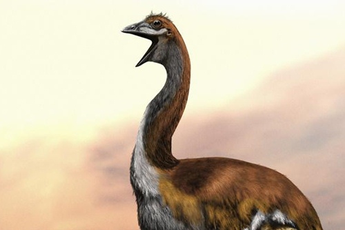 Extinct Animal Species