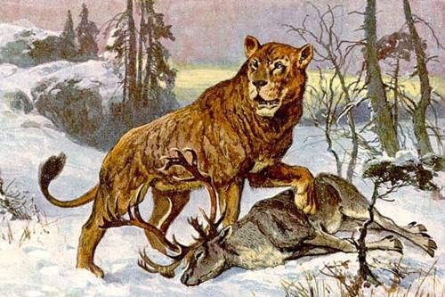 Extinct Animal Species