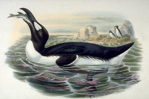 Extinct Animal Species