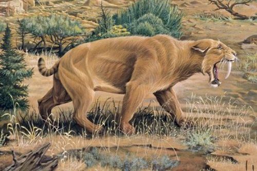 Extinct Animal Species