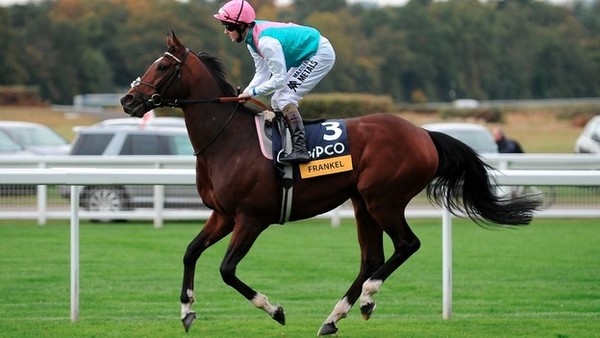 Frankel Best Race Horses Frankel Best Race Horses