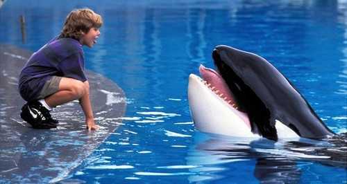 Free Willy