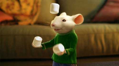 Stuar Little
