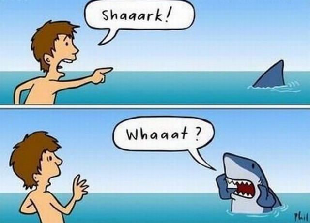 Most Funny Images