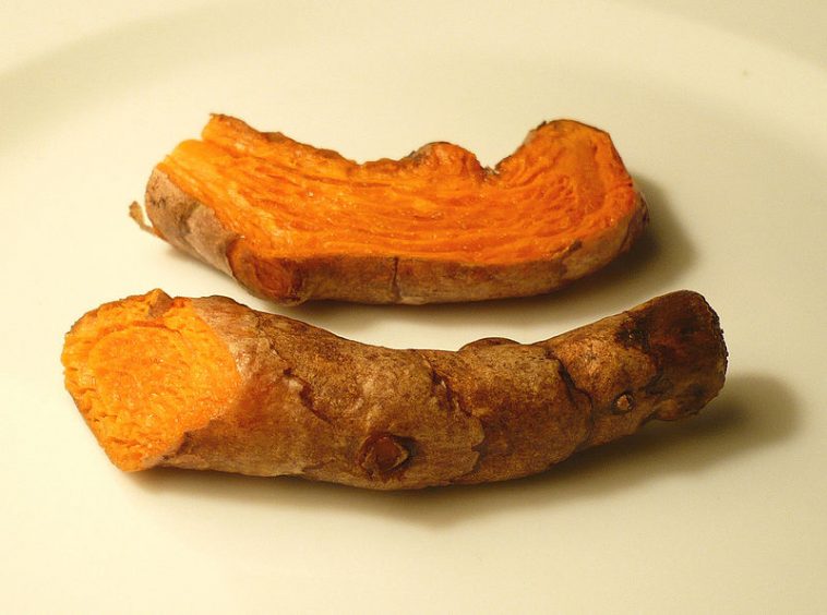 10 Health Benefits of Turmeric Turmeric root 758x564 - 10 Health Benefits of Turmeric
