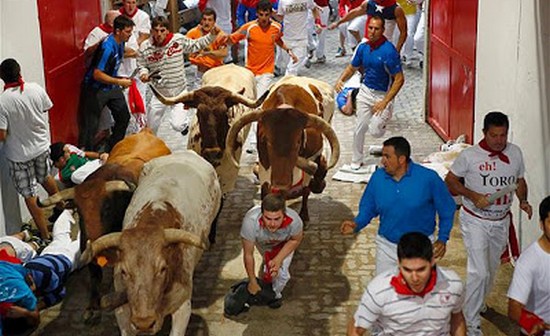 Pamplona Bull Run