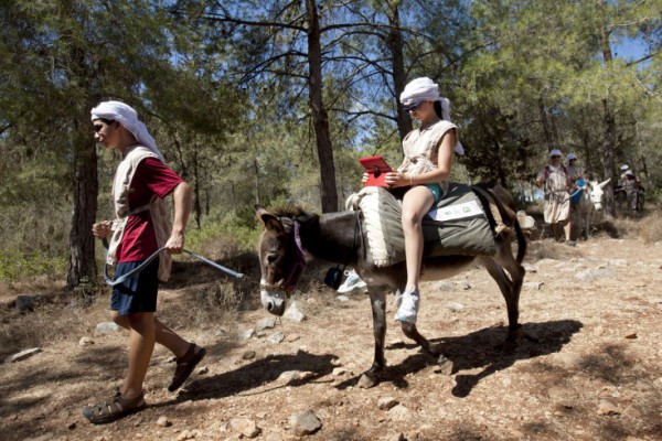 A lady Riding Donkey Ella Riding Donkey