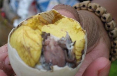 Balut Balut