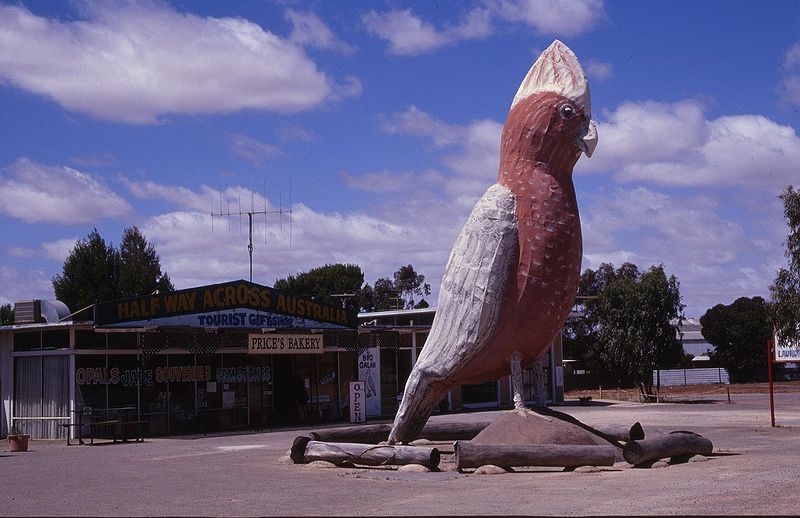 Big Galah