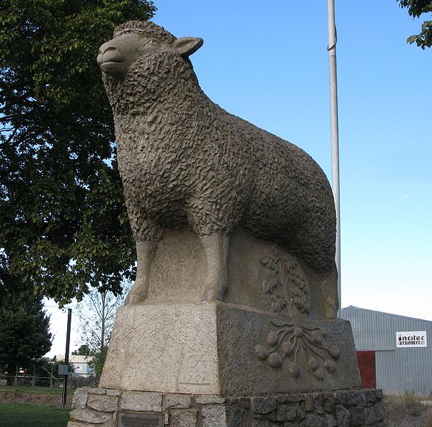 Big Lamb Guyra Big Lamb