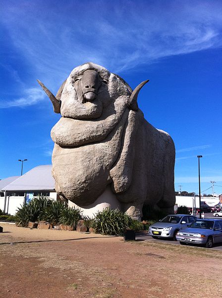 The Big Merino Big Merino