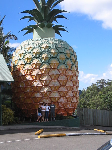 Giant Pineapple Nambour Big Pineapple