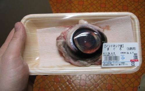 Tuna Eyeball Tuna Eyeball