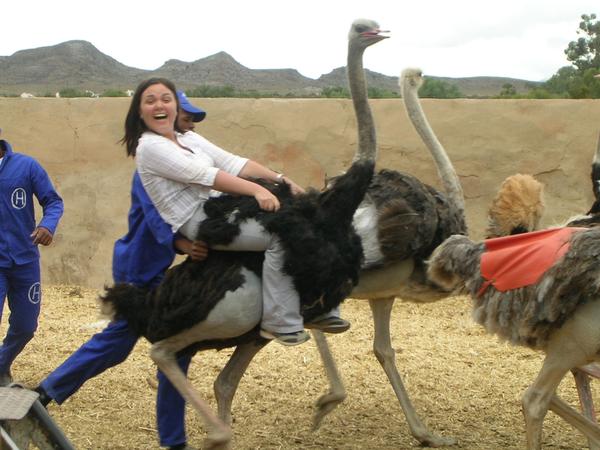  Ride an Ostrich