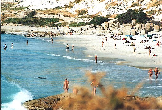 Sandy Beaches in SA
