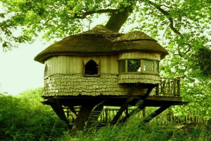 TreeHouse in SA