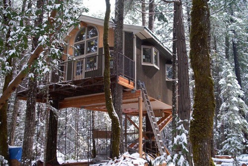 Top 10 Spectacular Tree Houses In The World Amazing Treehouses
