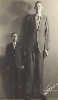 Top 10 Tallest Men