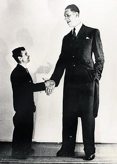 Top 10 Tallest Men
