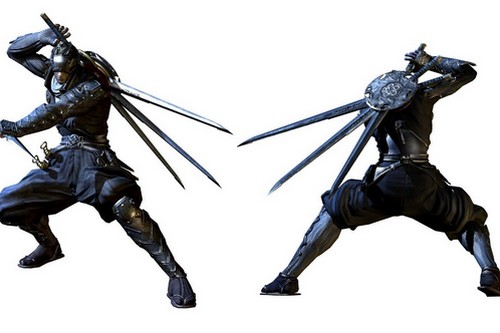 Ninja Warriors