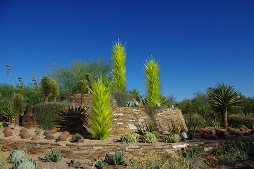 Desert Botanical Gardens, Phoenix, Arizona