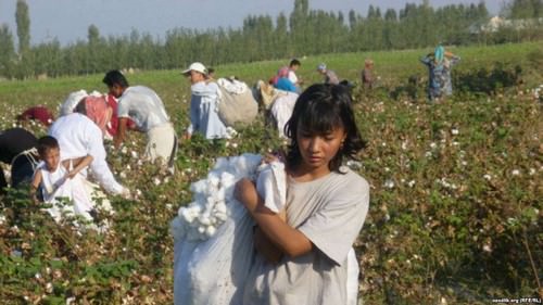 Modern Slavery in Uzbekistan