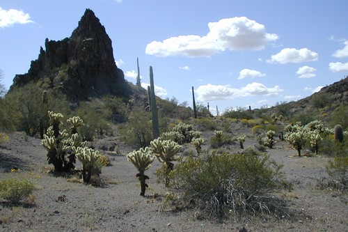 Yuma, Arizona