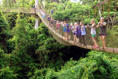 Highly Dangerous Bridges